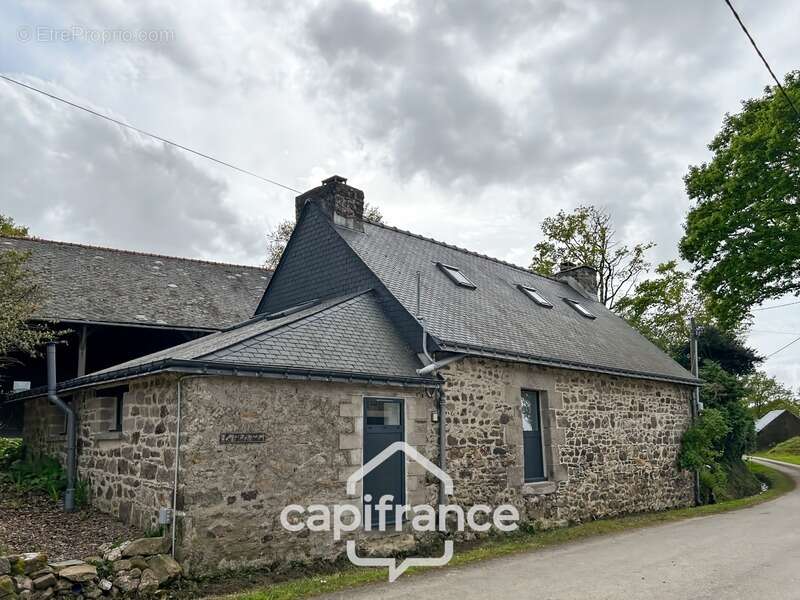 Longère en pierre rénovée – 7 600 m² de terrain – hangar de plus de 300 m² – kergrist, proche pontivy - photo 5
