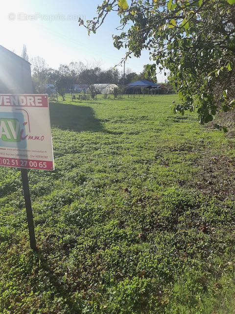 Terrain à SAINTE-HERMINE