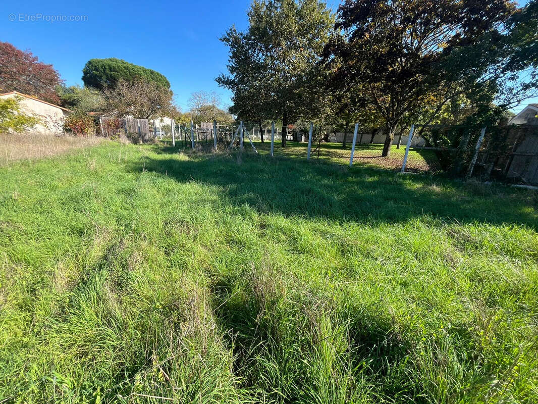 Terrain à BLANQUEFORT