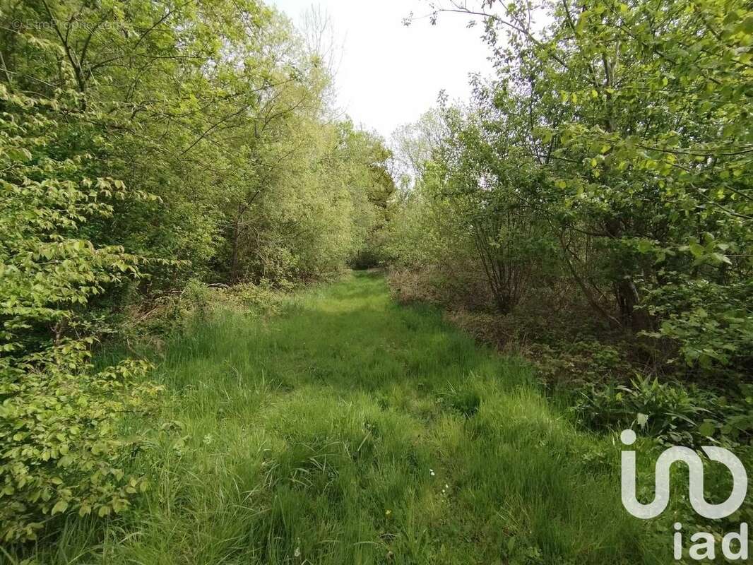 Photo 2 - Terrain à VEZILLY