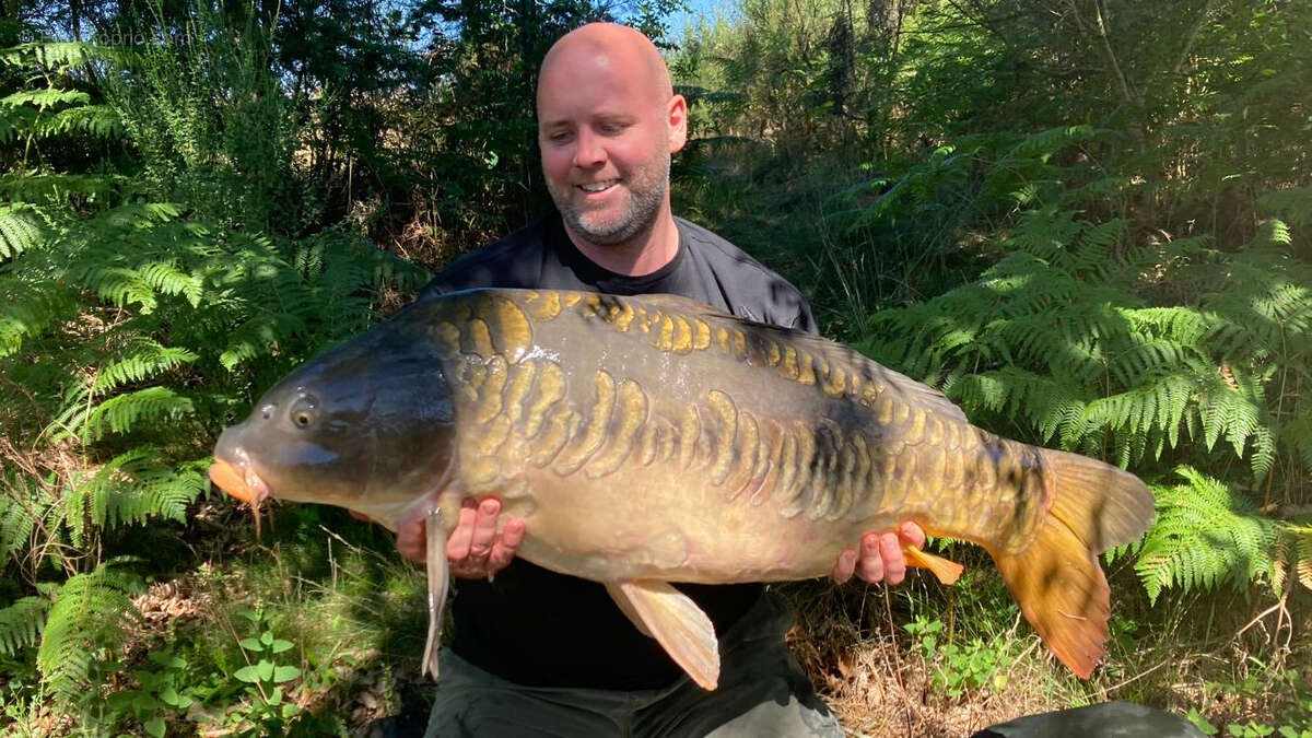 Terrain à COMPREIGNAC