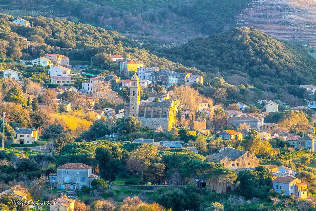 Patrimonio :  : villa avec 5 pièces à vendre - photo 19