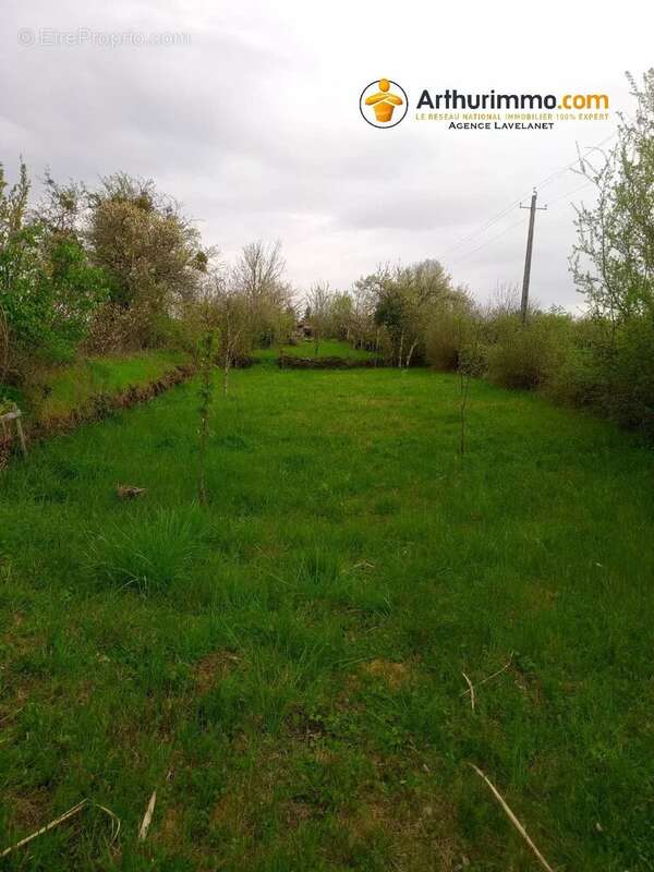 Maison à LAROQUE-D'OLMES