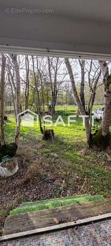 Photo 2 - Terrain à COURCON