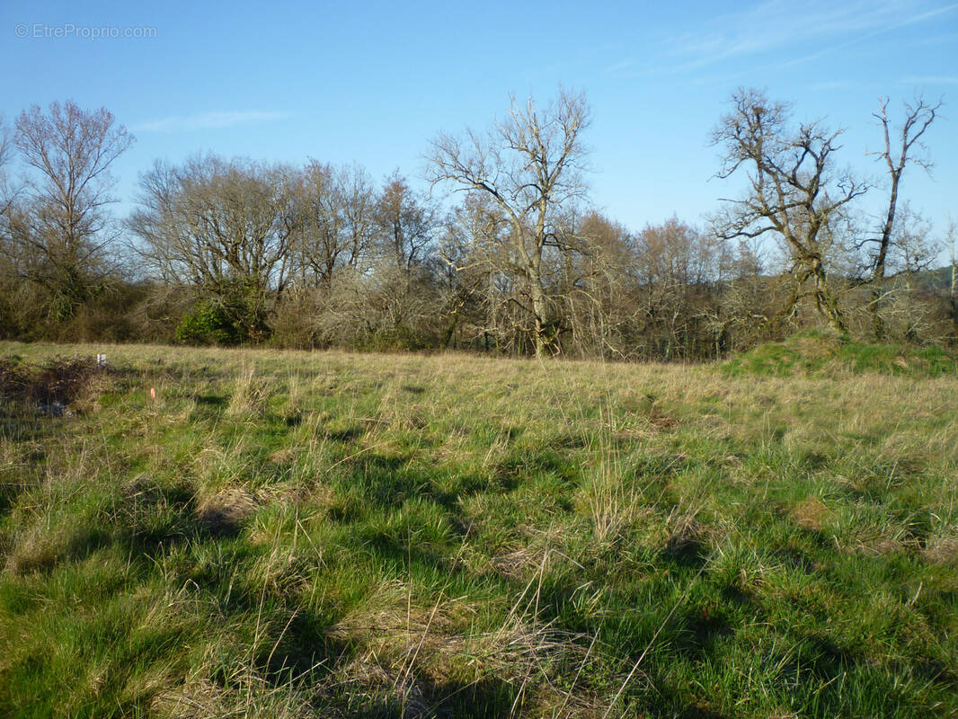 Terrain à MONSEMPRON-LIBOS