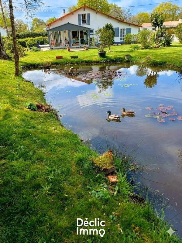Maison à SAINTE-FLAIVE-DES-LOUPS