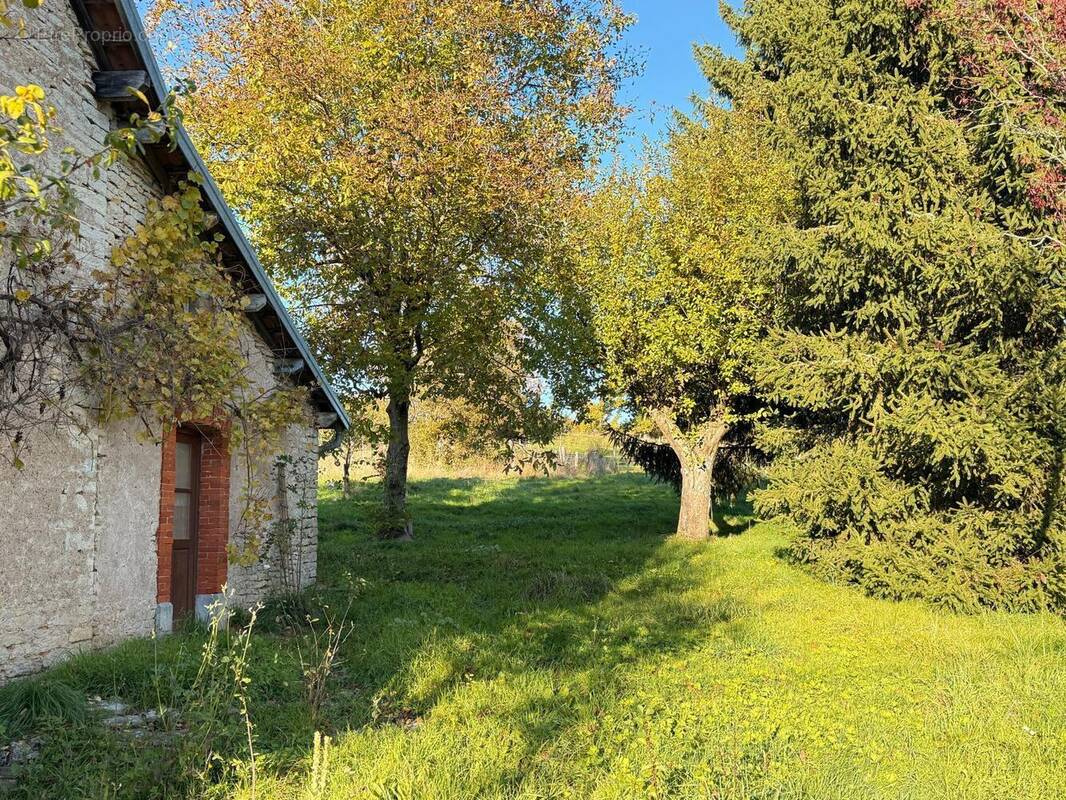 Photo 1 - Maison à RIOZ