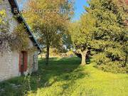 Photo 1 - Maison à RIOZ