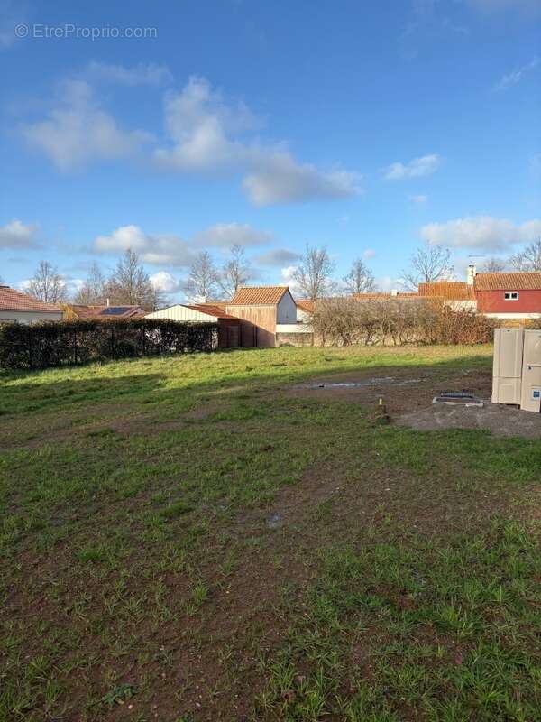 Terrain à SAINT-VIAUD