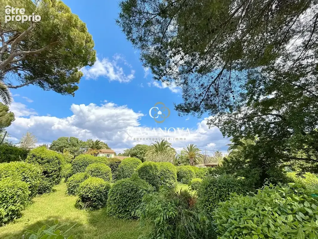 Aux portes de PEZENAS, maison de caractère sur un superbe terrain CONSTRUCTIBLE et DIVISIBLE de 3300 m². A 25 mn du bord de MER, - photo 5