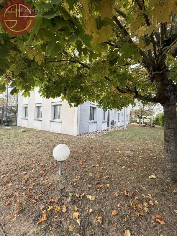 Commerce à TOULOUSE