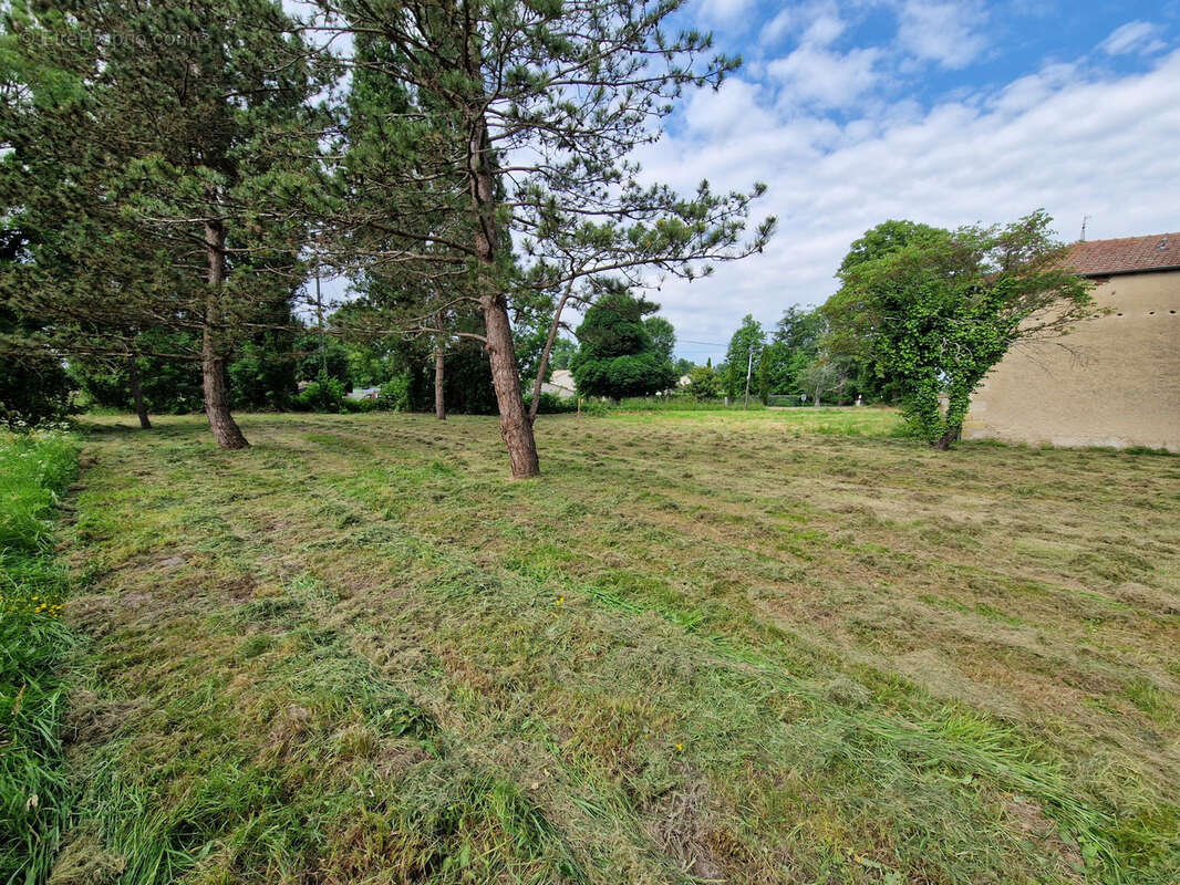 Terrain à SAINT-CIERS-SUR-GIRONDE