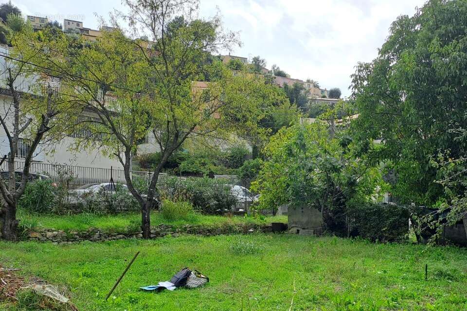 Terrain à LA TRINITE