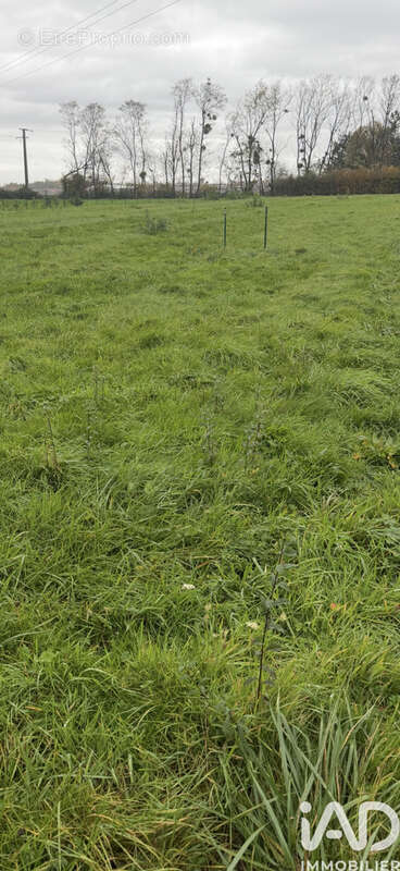 Photo 2 - Terrain à BOURBON-LANCY