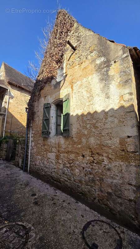 20260227111409 - Maison à SAINT-CYPRIEN