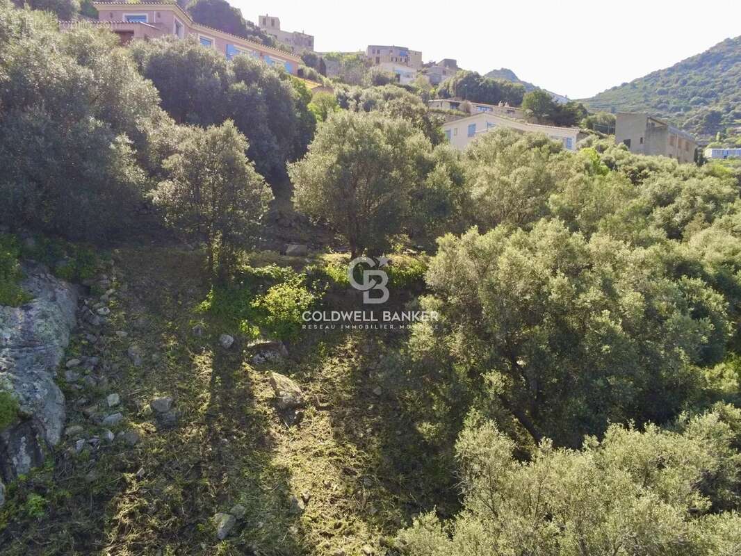 Terrain à MONTICELLO