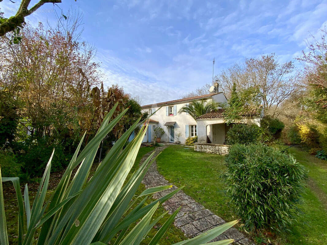 Maison de Ville avec Dépendances et Jardin - Jonzac Centre - photo 3