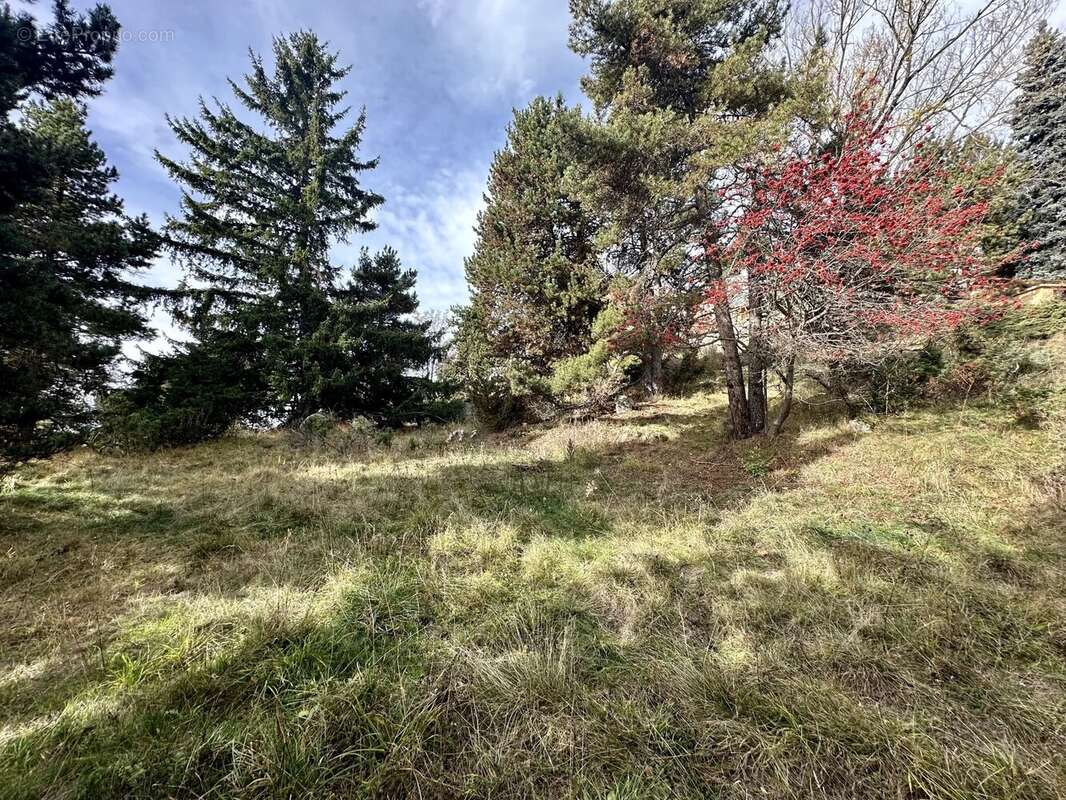 Terrain à FONT-ROMEU-ODEILLO-VIA