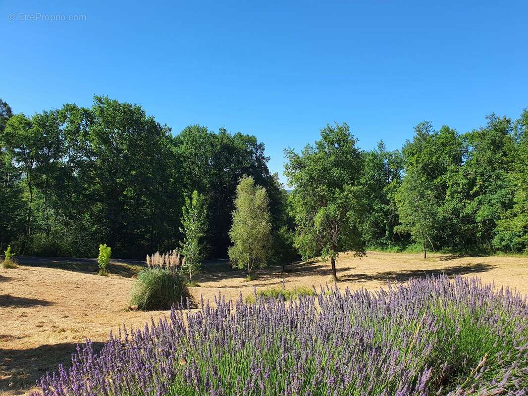 Maison à SAINTE-FOY-LA-GRANDE