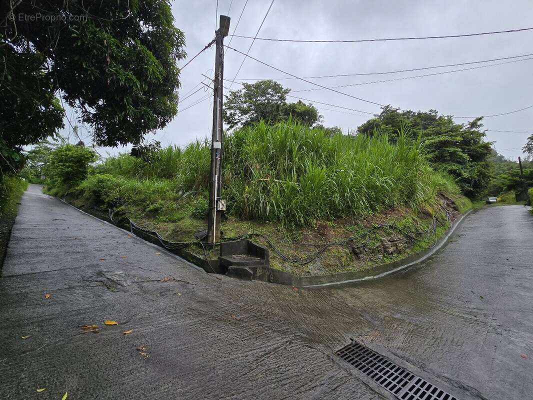 Terrain à RIVIERE-SALEE