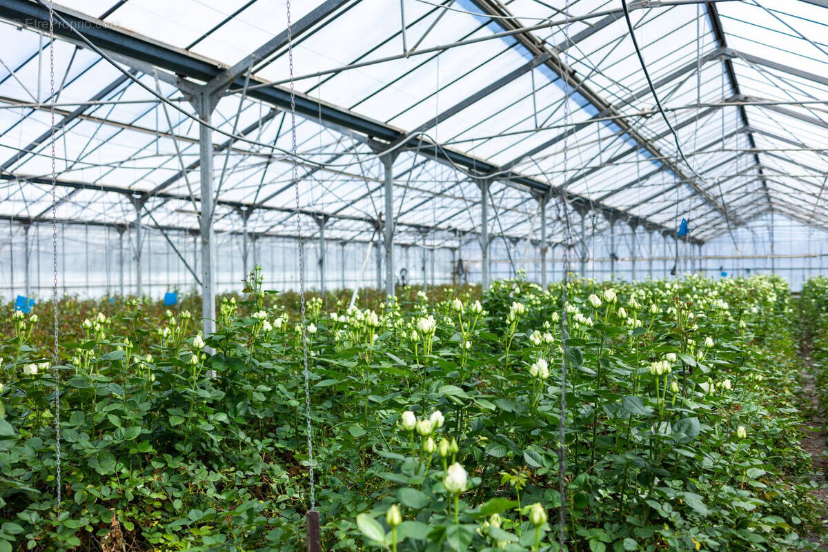 Maison à LA FARLEDE