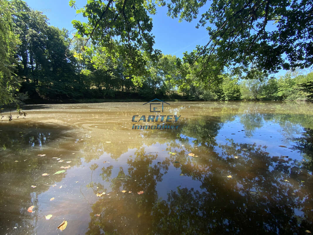 Etang de 30 ares environ sur un terrain de 75 ares avec abri de pêche à FRAHIER (70400) - photo 4