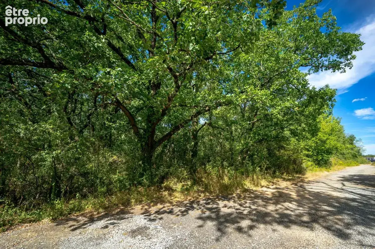 Terrain - 26 610 m² - Aussonne (31) - photo 5