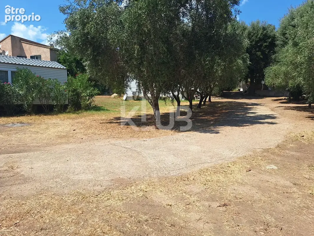 Propriété de loisirs à vendre à Sainte Lucie de PORTO VECCHIO - photo 9