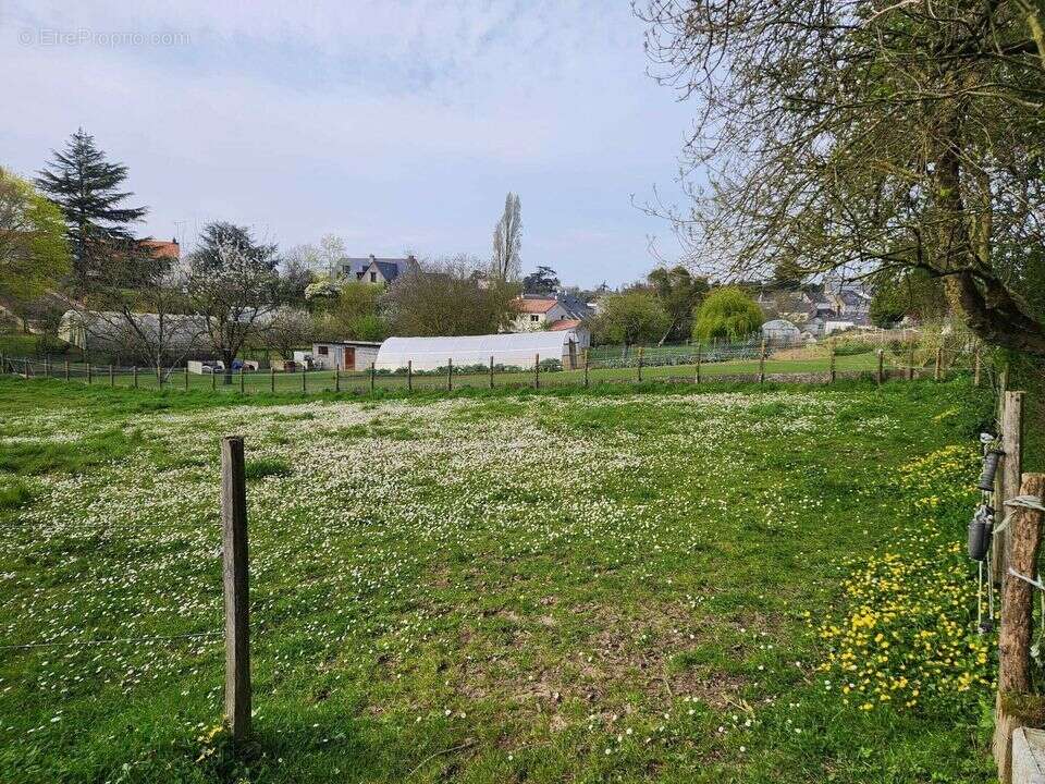 Terrain à LA POMMERAYE