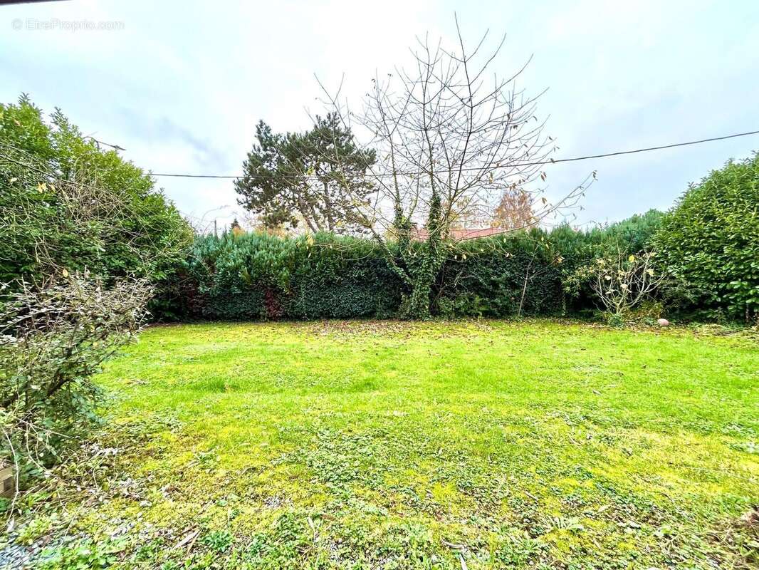 Photo 2 - Terrain à WILLEMS