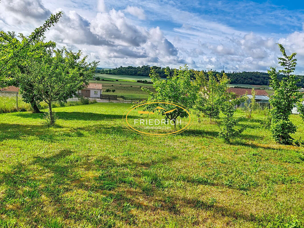 Terrain à SAMPIGNY