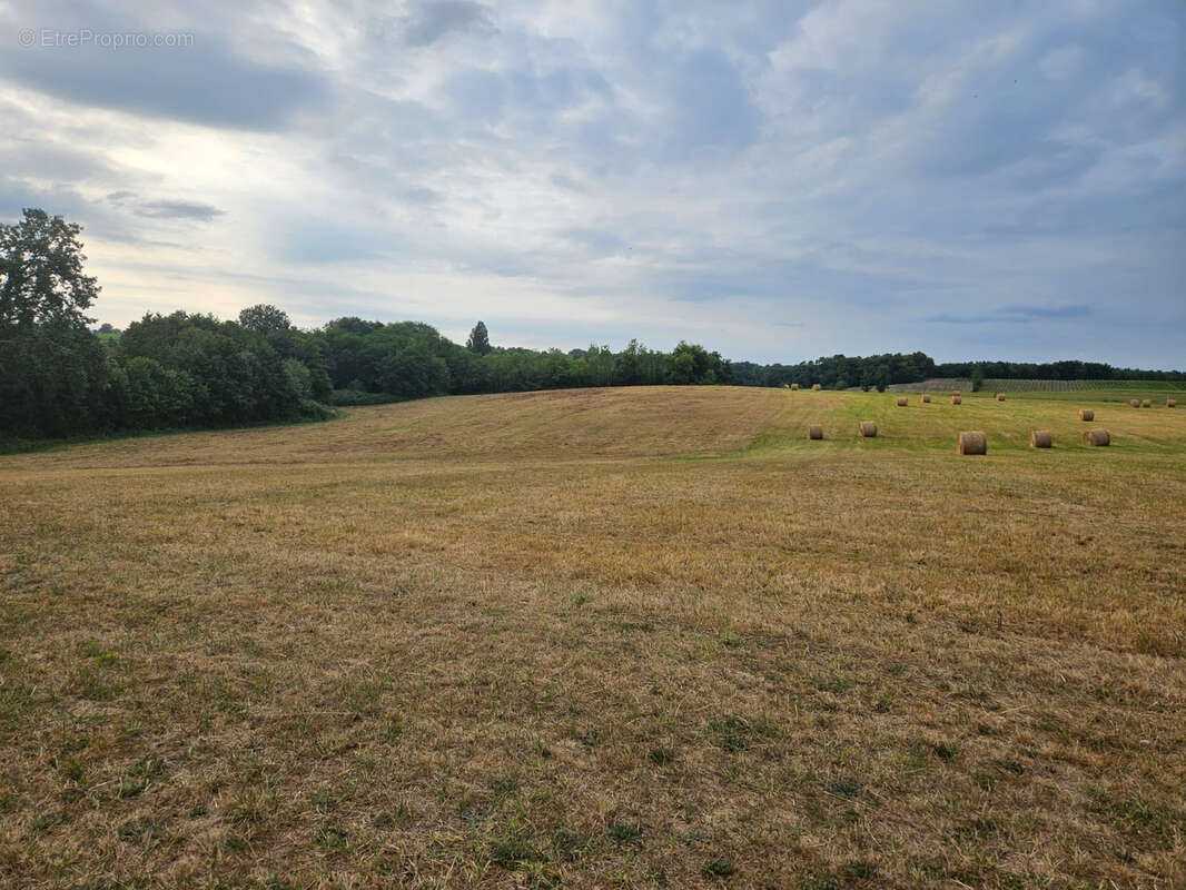 Terrain à COUTURES