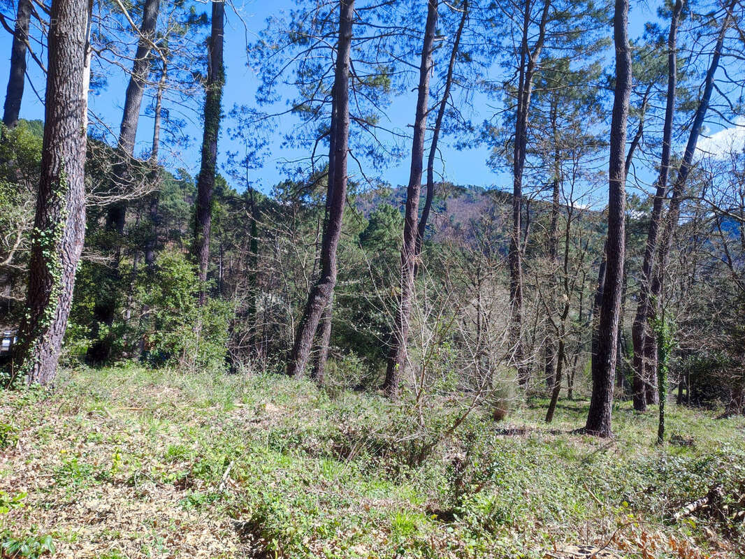 Terrain à LAVAL-PRADEL