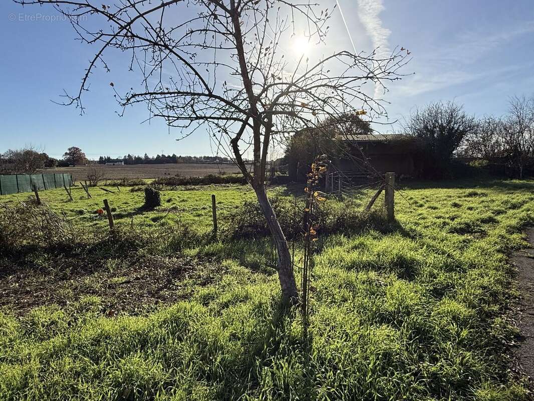 Terrain à TAPONNAT-FLEURIGNAC