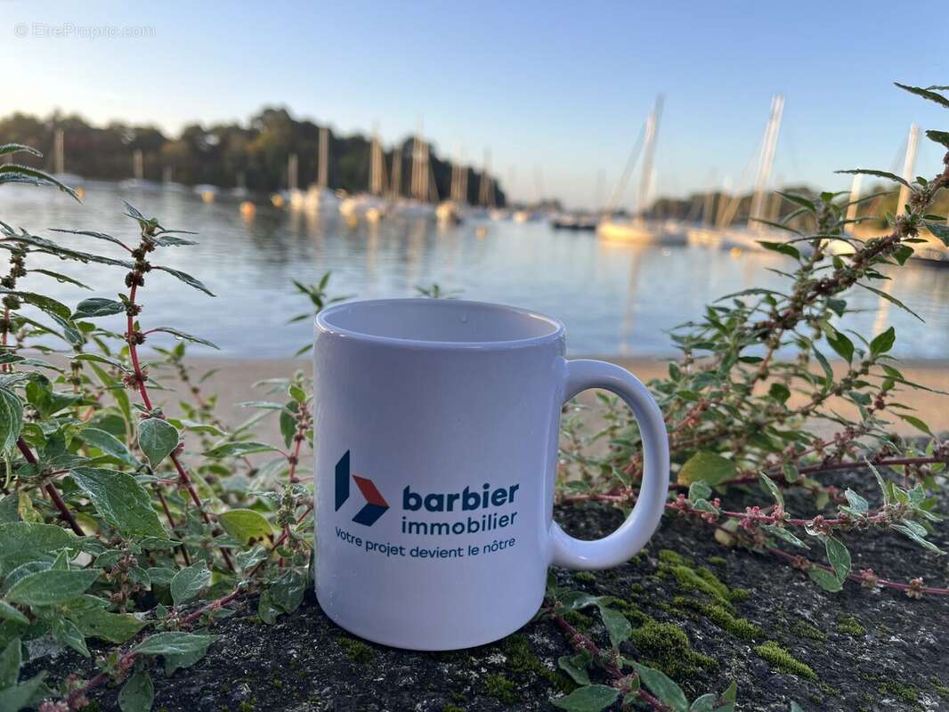 Commerce à SAINT-PIERRE-QUIBERON