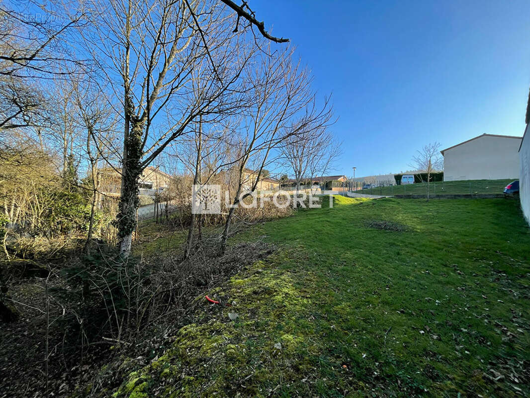 Terrain à LA ROCHE-VINEUSE