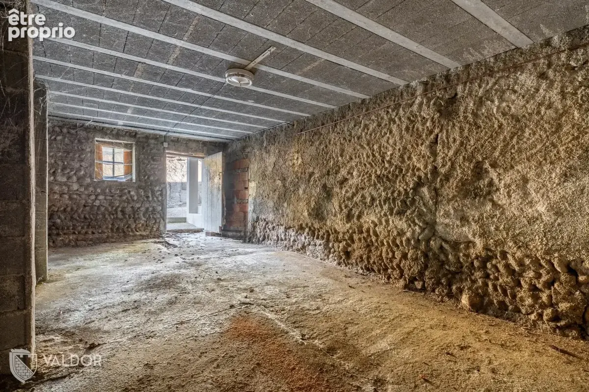 Genay centre - Maison familiale à créer - Jardin de 930 m² - photo 10