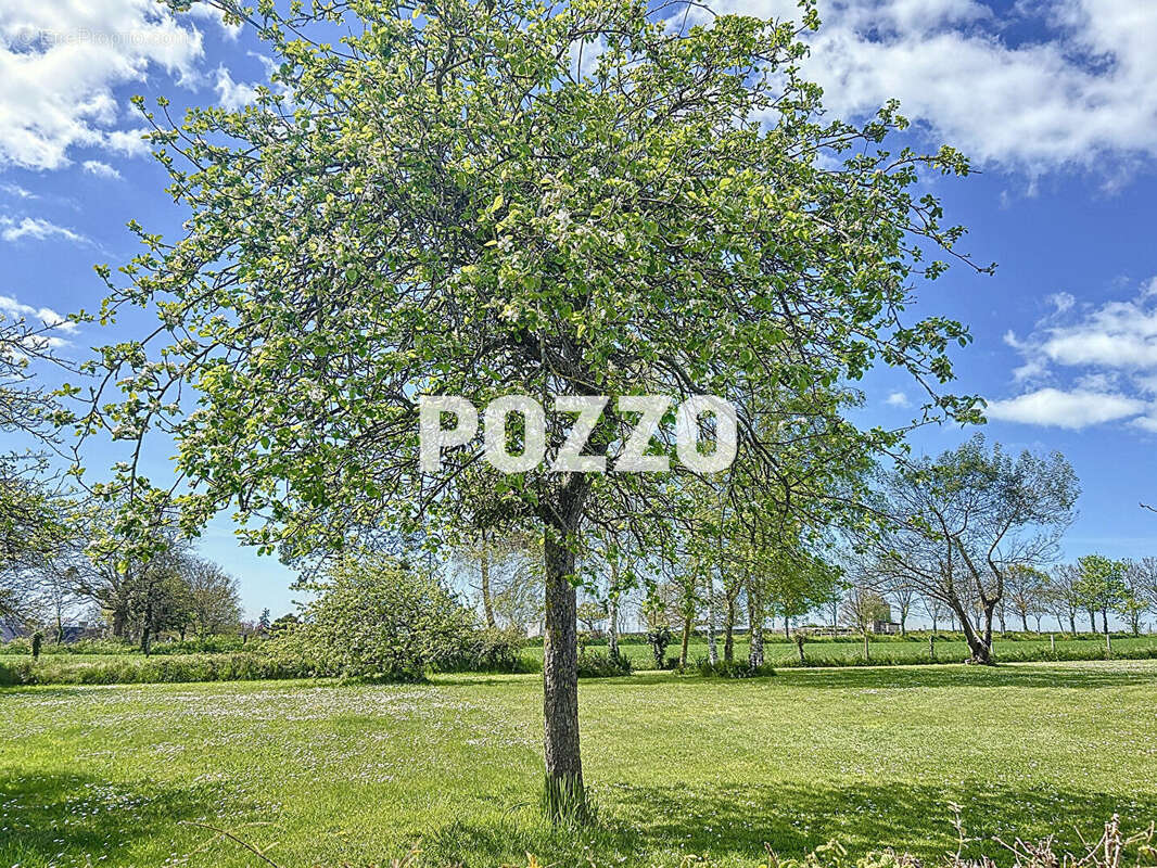 Maison à HAUTEVILLE-SUR-MER