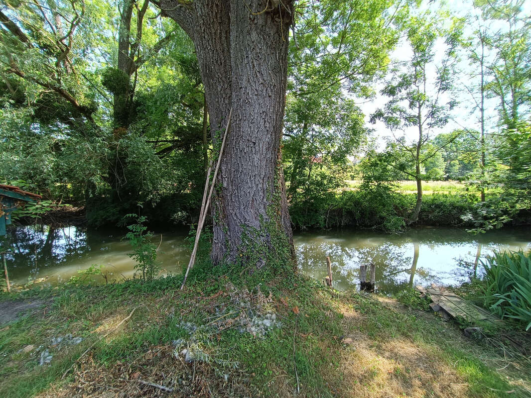 Maison à SANCERGUES