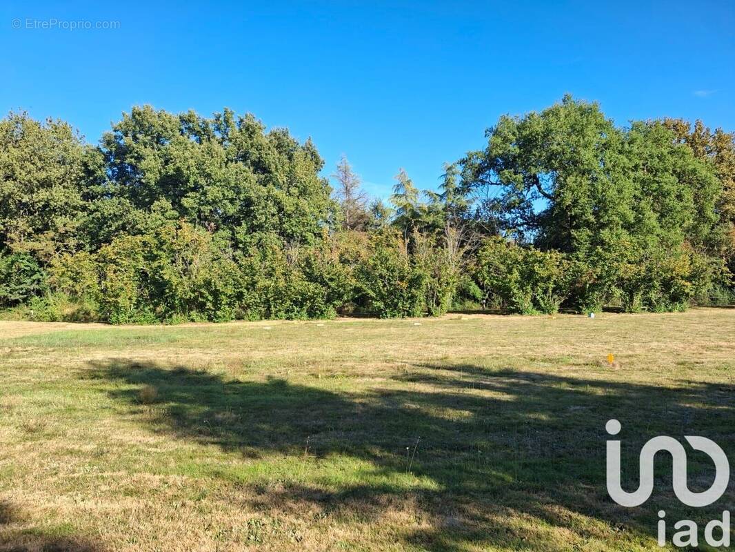 Photo 1 - Terrain à MONTAUBAN