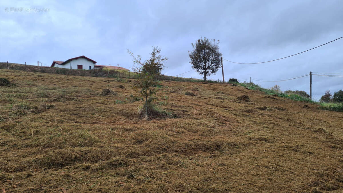 EXCLUSIVITÉ PAYS BASQUE - Grand Terrain Constructible à Guiche (3000 m²) - photo 2