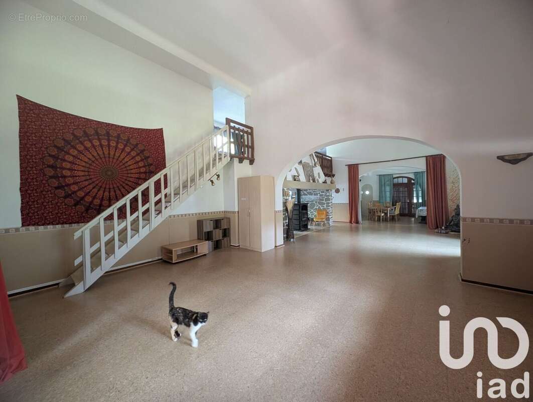 Maison 350 m² à Arles-Sur-Tech  - photo 7