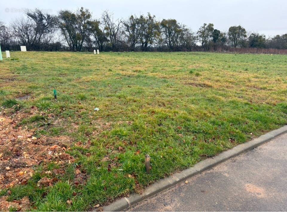 Terrain à CANY-BARVILLE