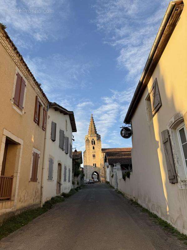 Terrain à BRASSEMPOUY