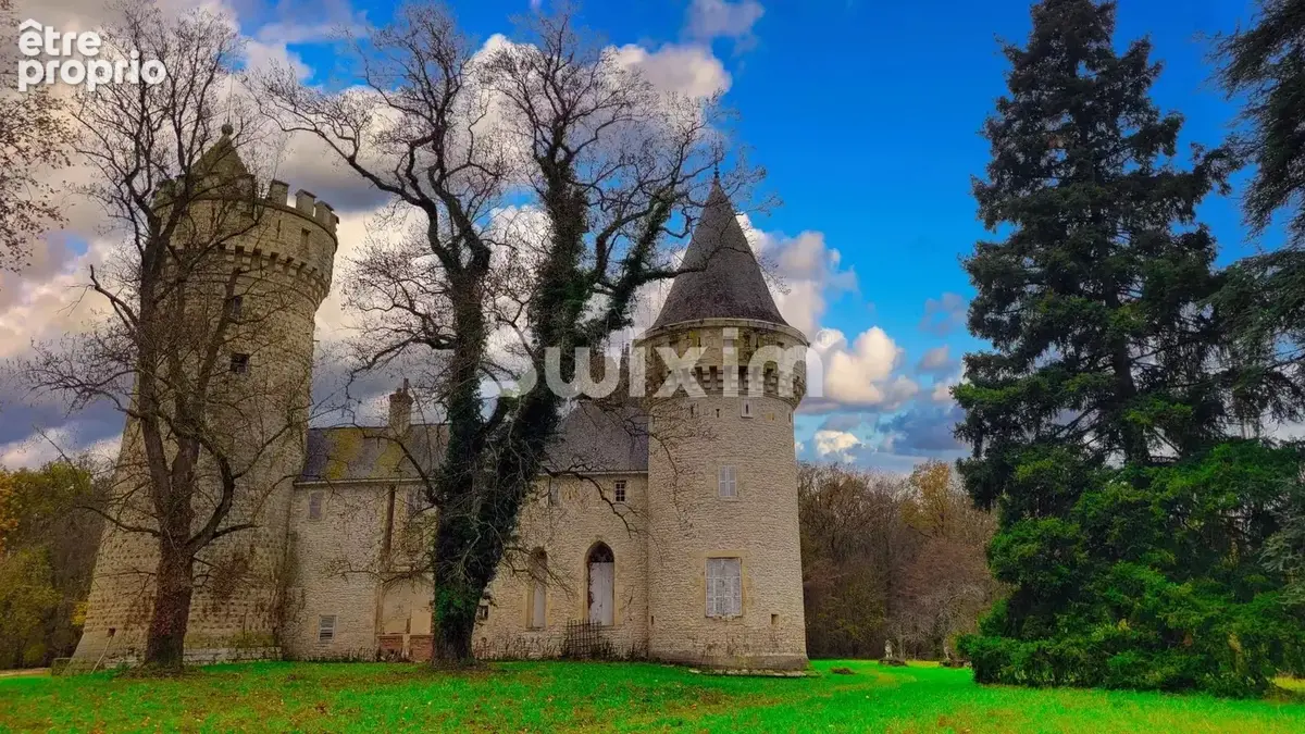 Magnifique Château XIIè-XIVè siècle dans le Berry - photo 3