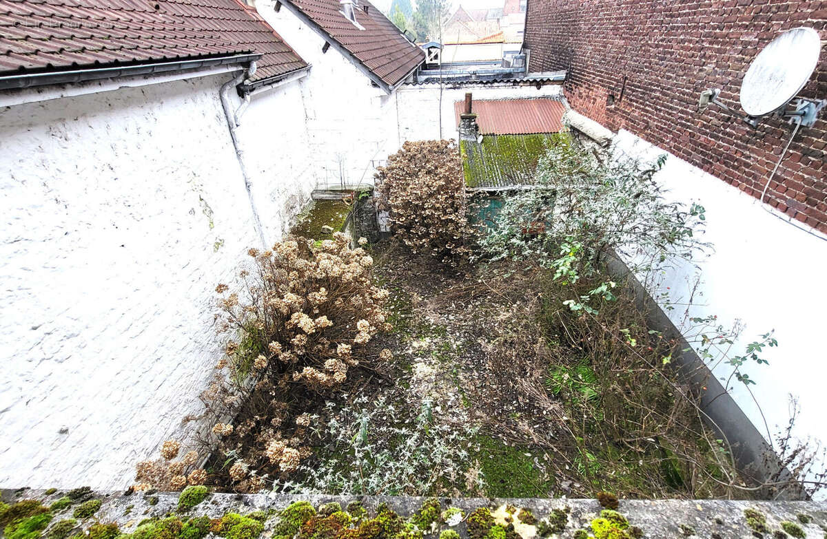 Photo 9 - Maison à NEUVILLE-SOUS-MONTREUIL