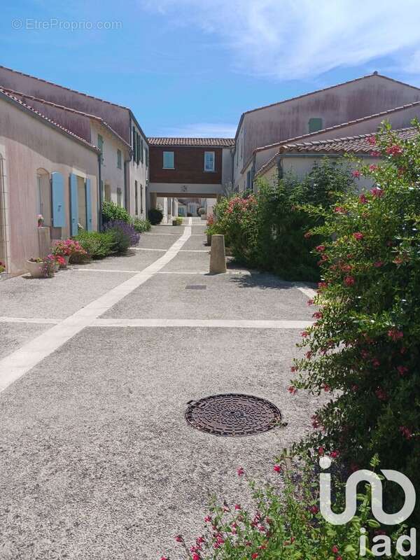 Photo 8 - Appartement à SAINT-MARTIN-DE-RE