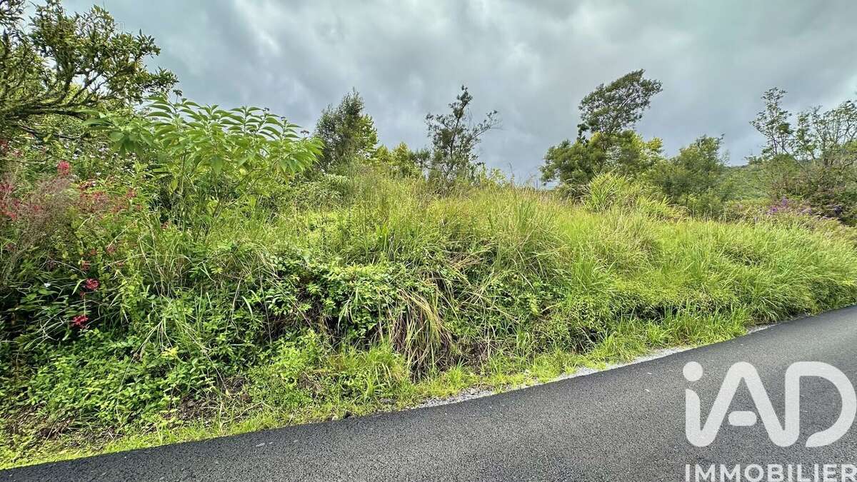 Photo 4 - Terrain à LA PLAINE-DES-PALMISTES