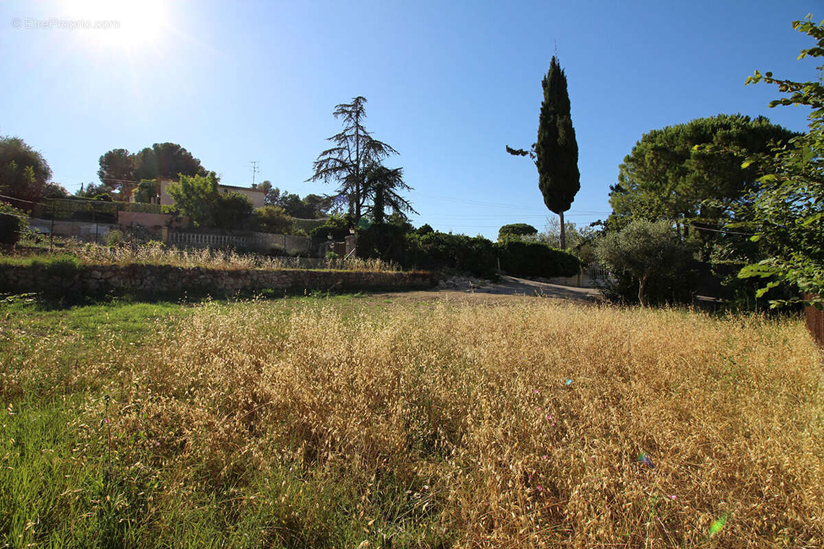Mougins - terrain - photo 2