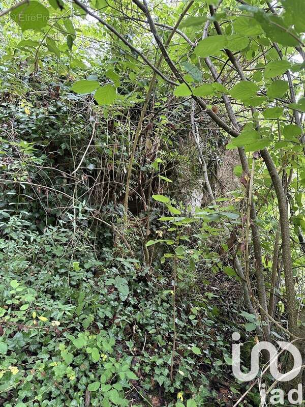 Photo 9 - Terrain à SAINT-CERE